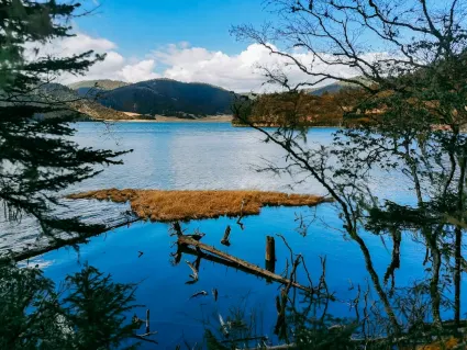 77سبينز كازينو تطبيق الهاتف المحمول